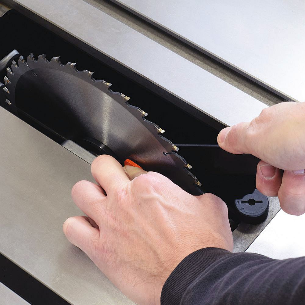 IGM LAGUNA Fusion 1 Kreissägemaschine